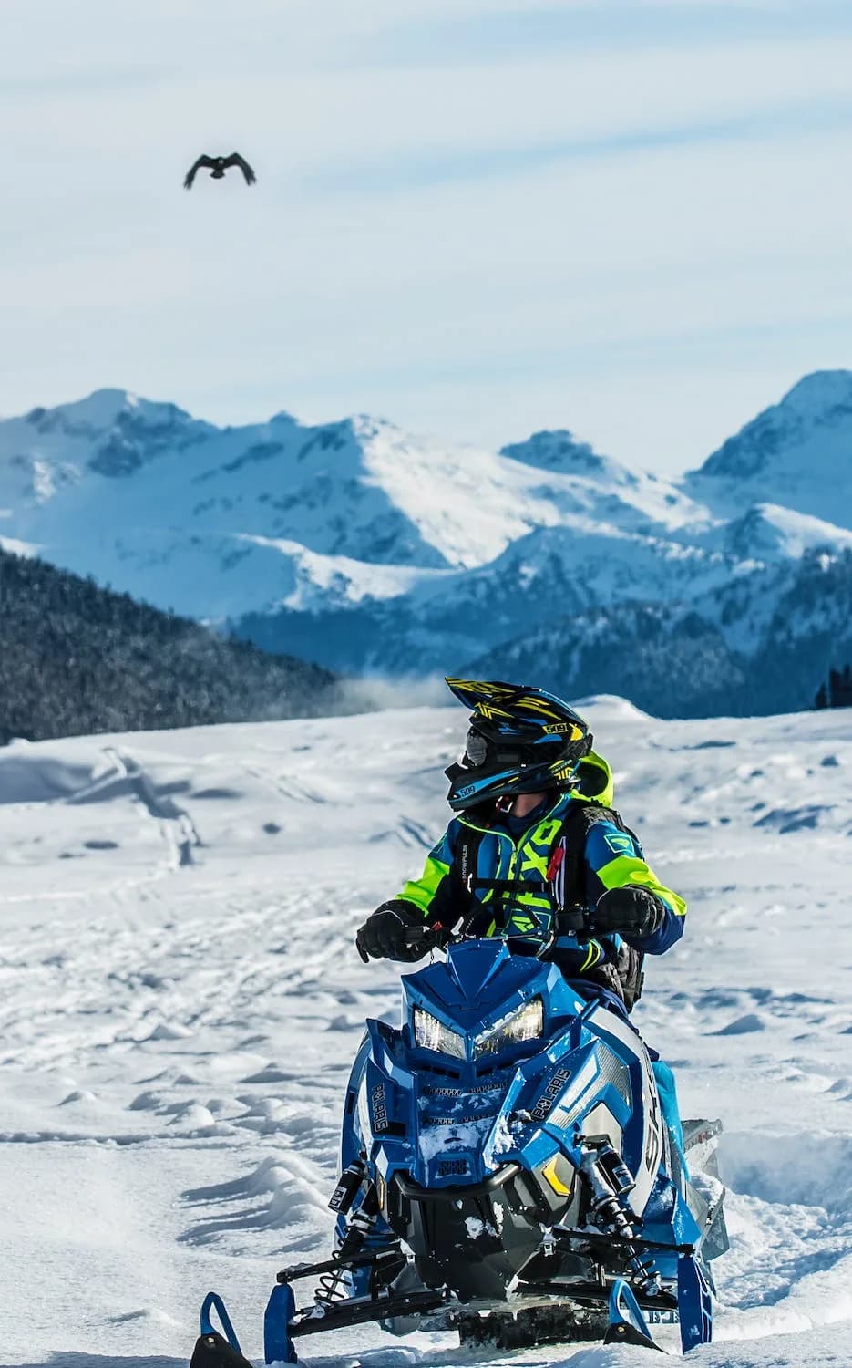 Snowmobile climbing towards the peaks with a bird overhead